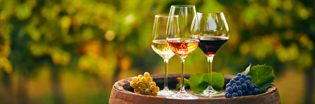 Wine glasses with fruit and cheese. Background out of focus.