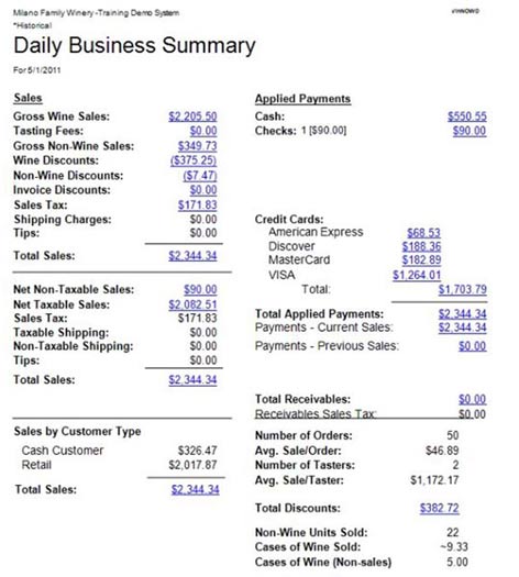 VinNOW software screen capture with Daily Business Summary report.